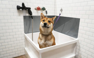 Turn Your Home into a Spa for Your Pet – FIAT’s Pooch & Boots Scrub Tub